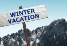 Winter Vacations Announced for Higher Education Institutions in Punjab