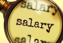 Pay Scale Salary Chart 2024 for All Government Employees After Budget 2024-25