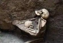 4000-Year-Old Skeletons of Mother and Child Found in China’s “Pompeii”