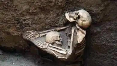 4000-Year-Old Skeletons of Mother and Child Found in China’s “Pompeii”