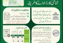 How to Apply for Your First National Identity Card (NIC) in Pakistan