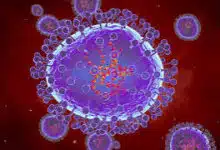 Human Metapneumovirus (HMPV): Symptoms, Contagion, and Treatment