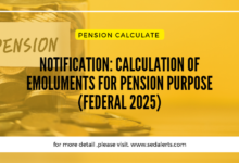 Notification: Calculation of Emoluments for Pension Purpose (Federal 2025)