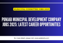 Punjab Municipal Development Company Jobs 2025