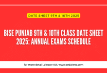 BISE Punjab 9th & 10th Class Date Sheet 2025: Annual Exams Schedule